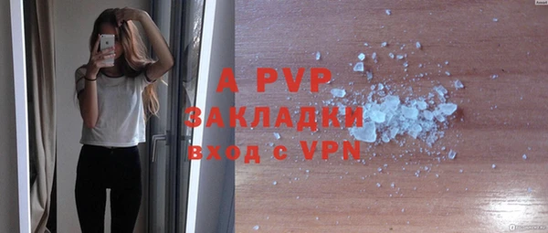 индика Арсеньев