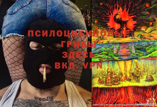 MESCALINE Аркадак
