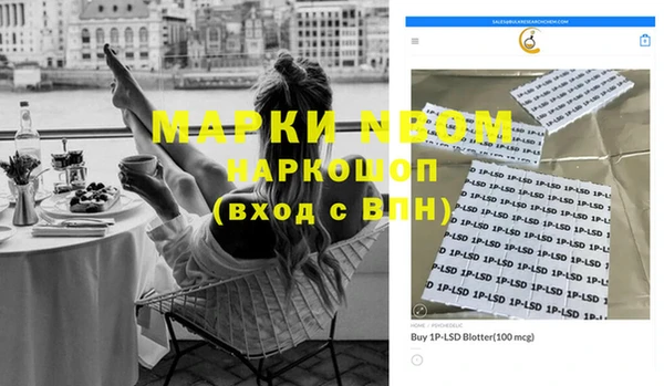 индика Арсеньев